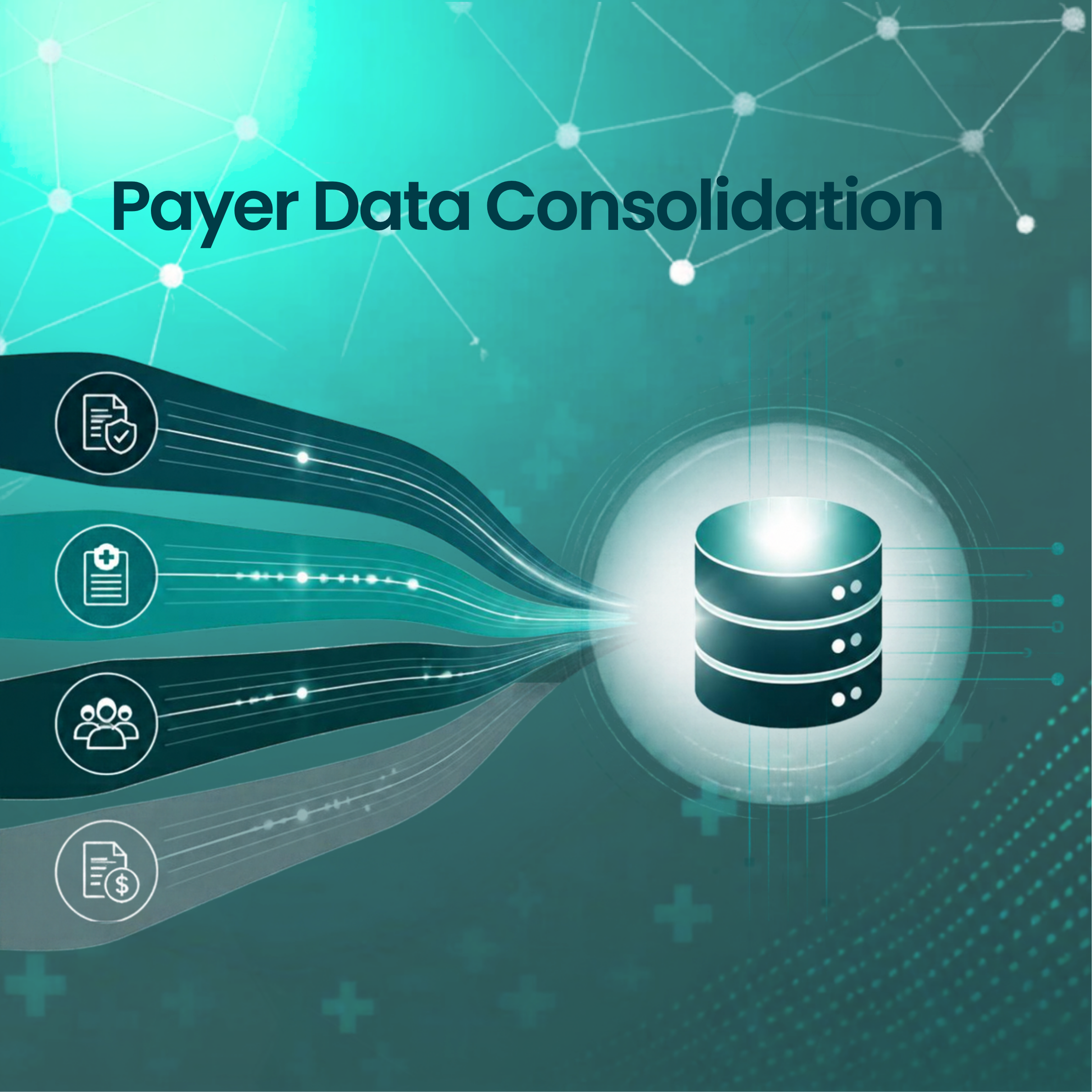 Payer data consolidation